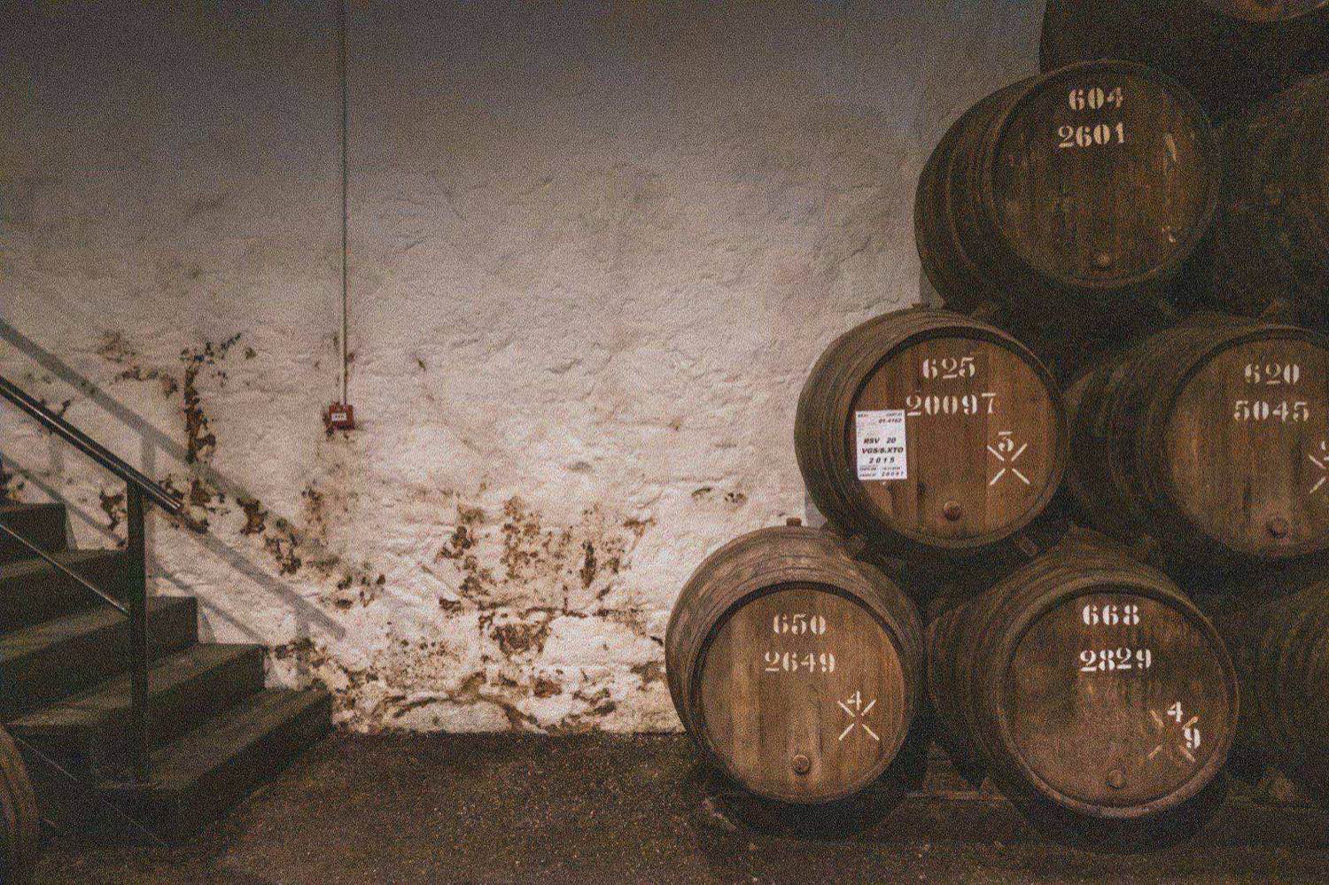 Oak wine barrels marked with inventory lot numbers stacked in a stone-walled cellar with an aged-plaster wall texture